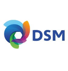 dsm